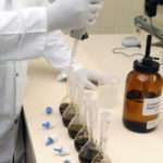 Clinical Laboratory Assistant Job Description Example, Duties, and Responsibilities