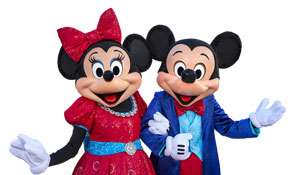 Walt Disney Company hiring process.