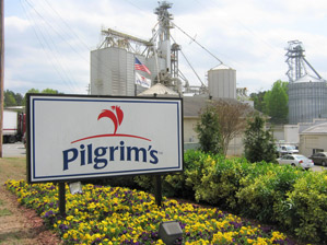 Pilgrim's Pride Hiring Process: Job Application, Interviews, and Employment