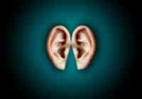 Audiologist Education