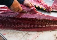 Butcher Job Description