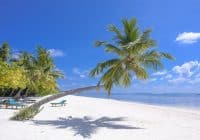 Travel Agent Skills