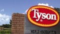Tyson Foods Hiring Process