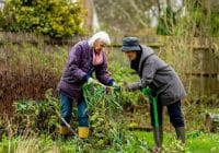 Work from Home Jobs for Retirees