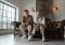 Work from Home Jobs for the Retired