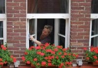 House Cleaner Job Description