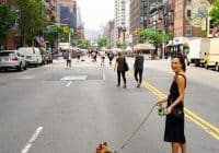 Dog Walker Job Description