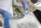 Medical Assistant Salary in Wyoming