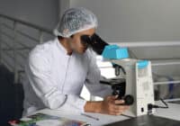 Pharmacy Technician Resume Summary