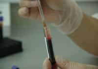 What Jobs can you get with a Biochemistry Degree?