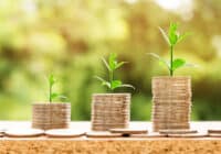 Investment Fund Manager Job Description