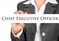 Chief Executive Officer Job Description