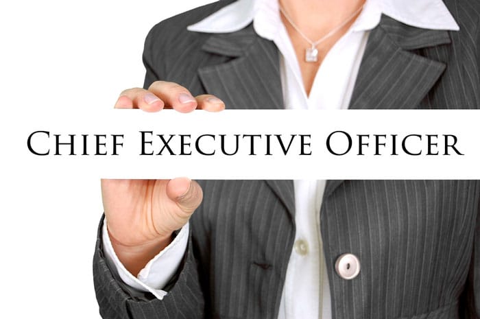 Chief Executive Officer Job Description