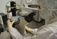 Clinical Laboratory Assistant Job Description