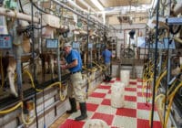 Milk Technician Job Description