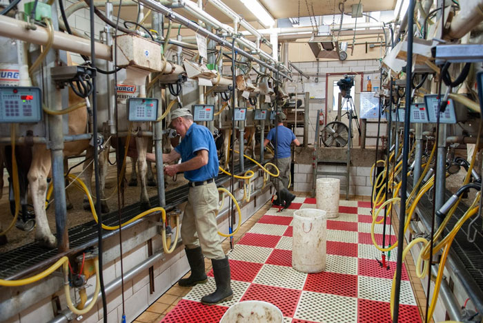 Milk Technician Job Description