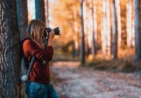 Photographer Resume Objective