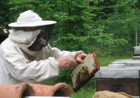How to become a Certified Beekeeper