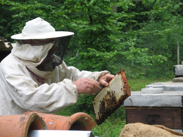 How to become a Certified Beekeeper