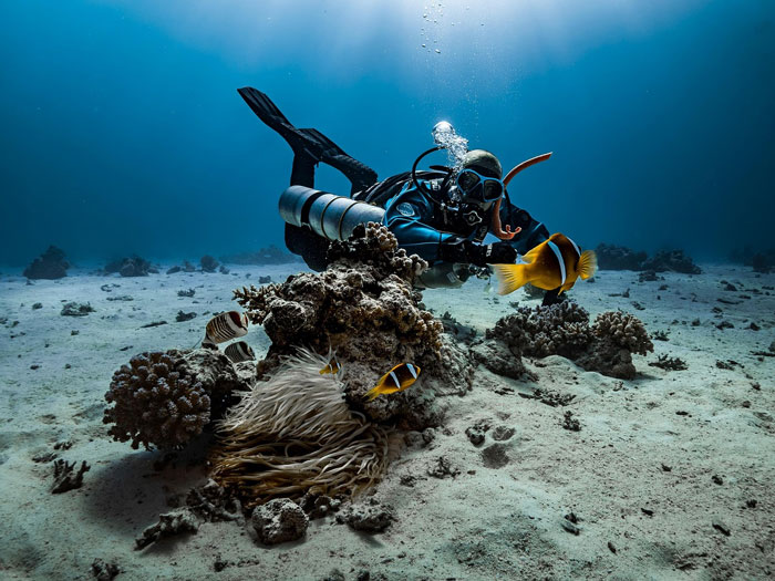 Marine Biologist Job Description