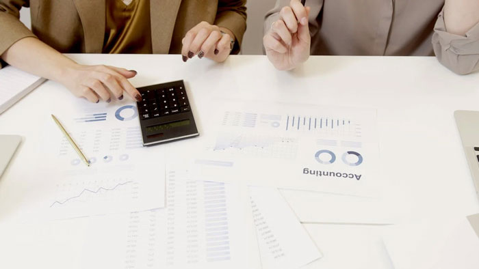 Accounting Consultant Job Description