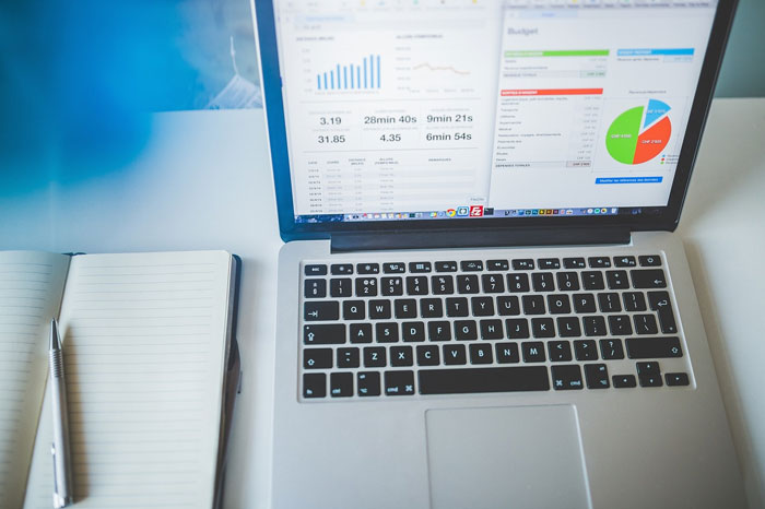 Data Analyst Job Description