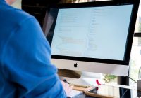 Database Developer Job Description