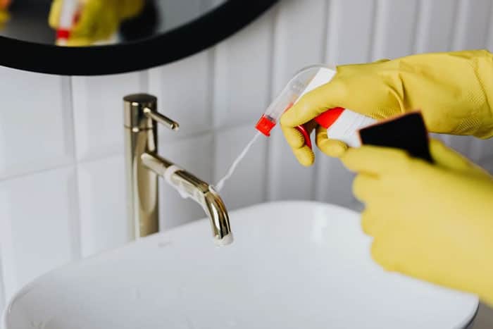 Housekeeper Resume Writing Tips and Example