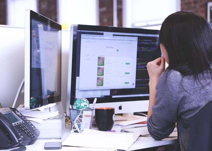 Junior Project Manager Job Description