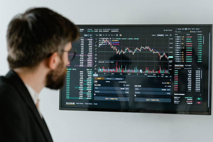 Software Business Analyst Job Description