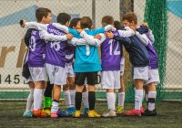 Sports Team Manager Job Description